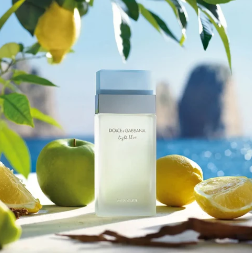 Dolce & Gabbana Light Blue EDT 100ML
