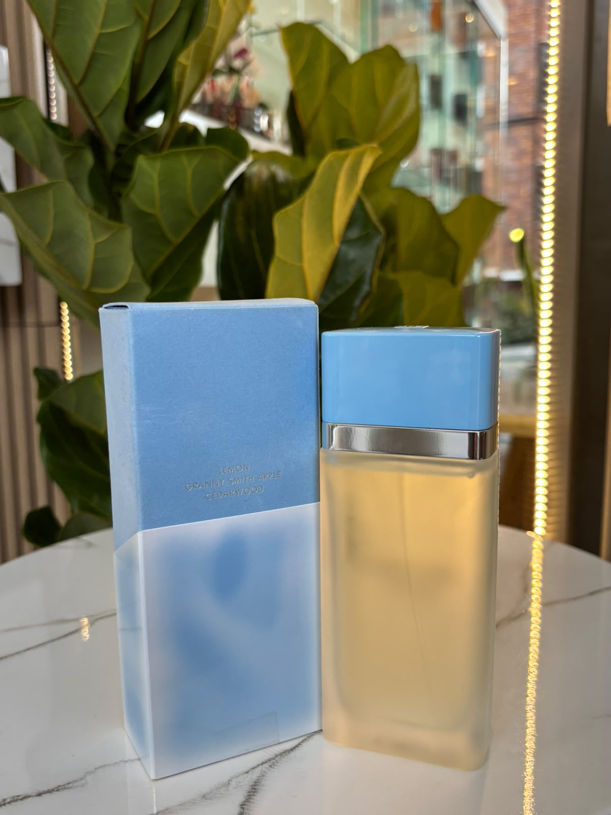 Dolce & Gabbana Light Blue EDT 100ML